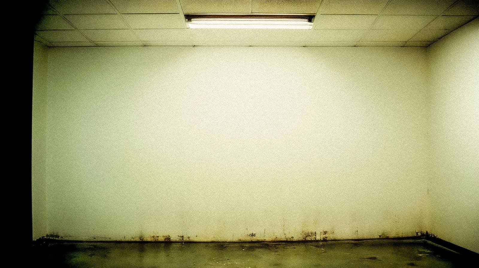 Whole-home interior repaint — before